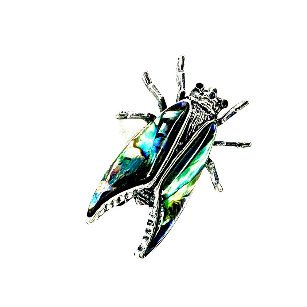 Abalone Shell Cicada Luxury Gift Set